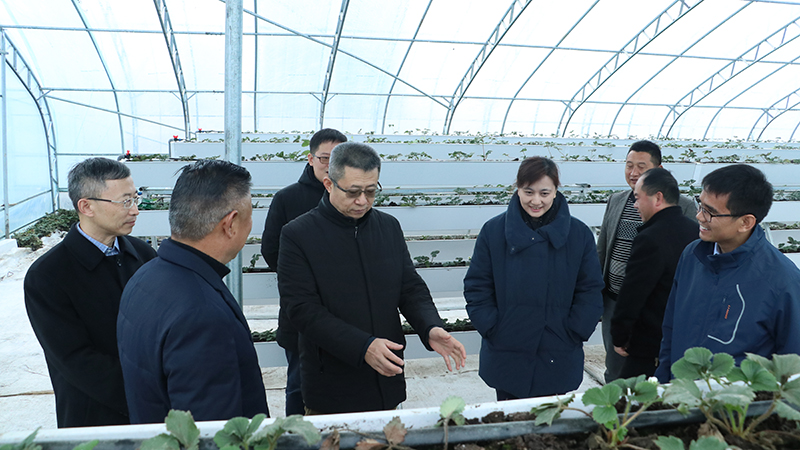 W020191225558726534918 pgµç×ÓÄ£ÄâÆ÷(ÖйúÓÎ)¹Ù·½ÍøÕ¾