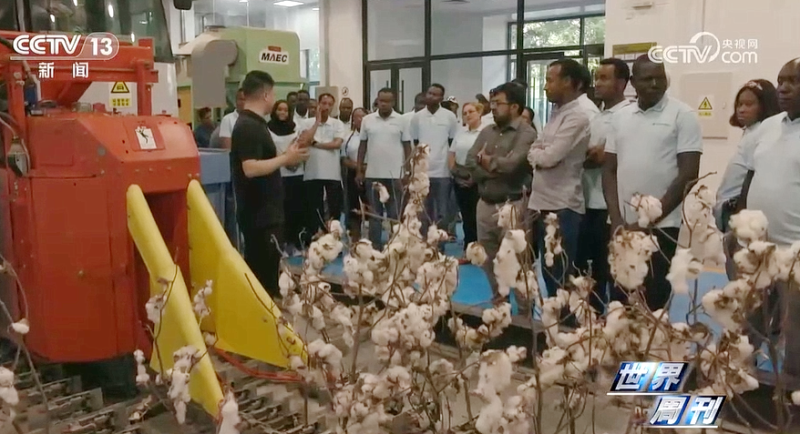 W020231024358898532497 pg电子模拟器(中国游)官方网站